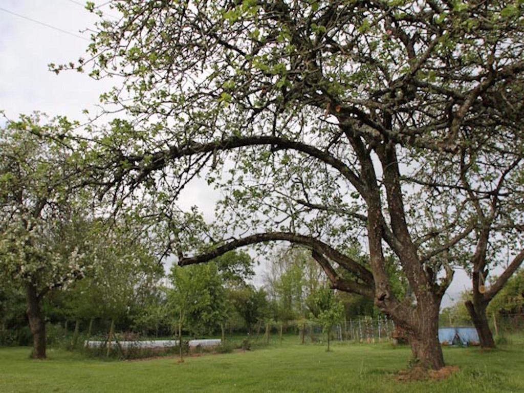 Willa La Courtoise "Chez Gustine" La Marne Zewnętrze zdjęcie